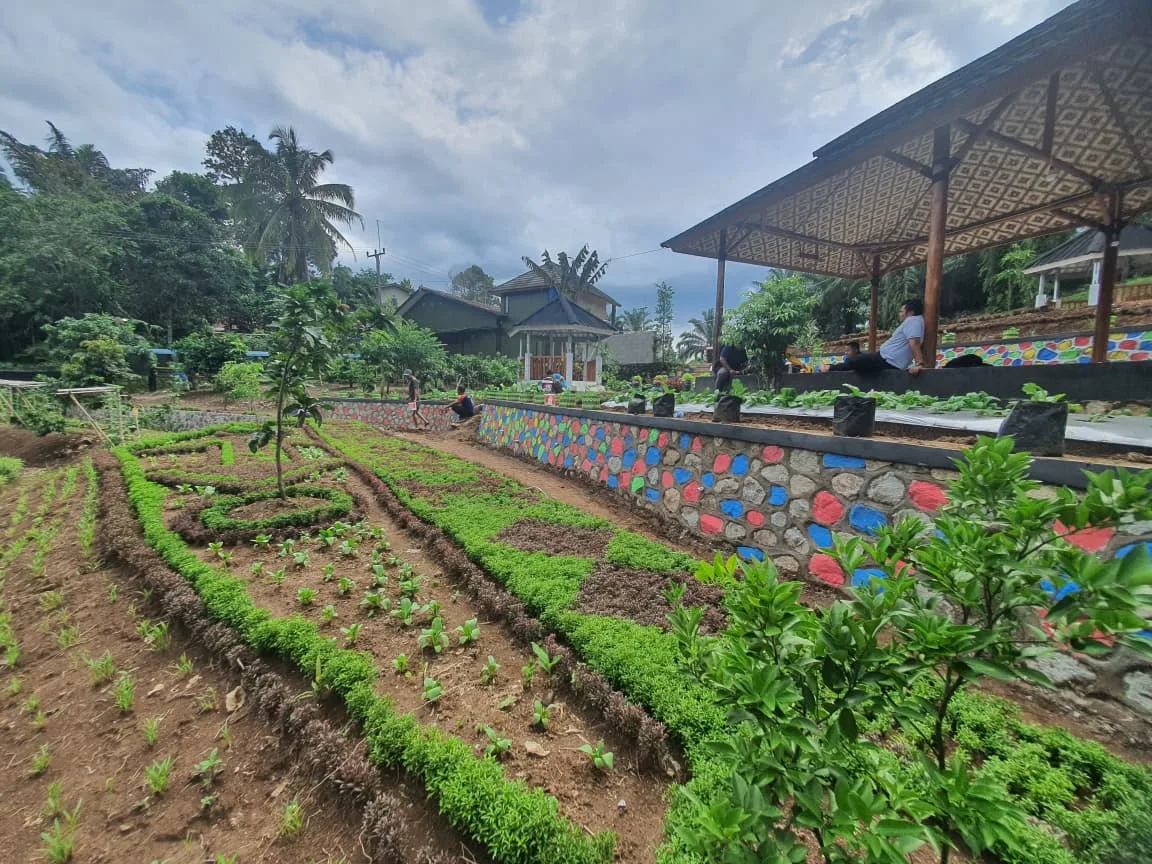 panen perkebunan #2